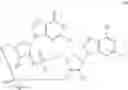 Fig. 34 - 2'3'-CYCLIC DINUCLEOTIDES COMPRISING CARBOCYCLIC NUCLEOTIDE