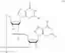 Fig. 35 - 2'3'-CYCLIC DINUCLEOTIDES COMPRISING CARBOCYCLIC NUCLEOTIDE