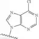 Fig. 40 - 2'3'-CYCLIC DINUCLEOTIDES COMPRISING CARBOCYCLIC NUCLEOTIDE