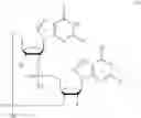 Fig. 49 - 2'3'-CYCLIC DINUCLEOTIDES COMPRISING CARBOCYCLIC NUCLEOTIDE