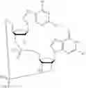 Fig. 50 - 2'3'-CYCLIC DINUCLEOTIDES COMPRISING CARBOCYCLIC NUCLEOTIDE