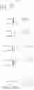 Fig. 52 - 2'3'-CYCLIC DINUCLEOTIDES COMPRISING CARBOCYCLIC NUCLEOTIDE
