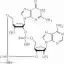 Fig. 55 - 2'3'-CYCLIC DINUCLEOTIDES COMPRISING CARBOCYCLIC NUCLEOTIDE