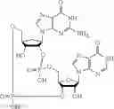 Fig. 58 - 2'3'-CYCLIC DINUCLEOTIDES COMPRISING CARBOCYCLIC NUCLEOTIDE