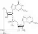 Fig. 60 - 2'3'-CYCLIC DINUCLEOTIDES COMPRISING CARBOCYCLIC NUCLEOTIDE