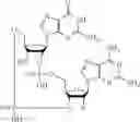 Fig. 65 - 2'3'-CYCLIC DINUCLEOTIDES COMPRISING CARBOCYCLIC NUCLEOTIDE