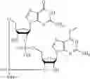 Fig. 66 - 2'3'-CYCLIC DINUCLEOTIDES COMPRISING CARBOCYCLIC NUCLEOTIDE