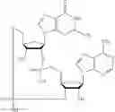 Fig. 72 - 2'3'-CYCLIC DINUCLEOTIDES COMPRISING CARBOCYCLIC NUCLEOTIDE