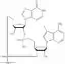 Fig. 77 - 2'3'-CYCLIC DINUCLEOTIDES COMPRISING CARBOCYCLIC NUCLEOTIDE