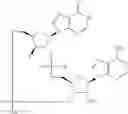 Fig. 80 - 2'3'-CYCLIC DINUCLEOTIDES COMPRISING CARBOCYCLIC NUCLEOTIDE