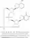 Fig. 89 - 2'3'-CYCLIC DINUCLEOTIDES COMPRISING CARBOCYCLIC NUCLEOTIDE