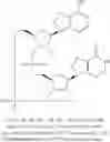 Fig. 91 - 2'3'-CYCLIC DINUCLEOTIDES COMPRISING CARBOCYCLIC NUCLEOTIDE
