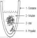 Fig. 01 - Methods for extracting keratin proteins