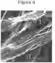 Fig. 06 - Methods for extracting keratin proteins
