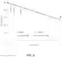 Fig. 09 - Cyclic peptide for treating cancer