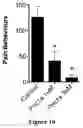 Fig. 07 - Spider venom peptides and methods of use for modulating sodium channels