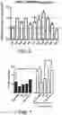 Fig. 07 - Therapeutic use of bone morphogenetic proteins