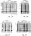 Fig. 09 - Fusion polypeptides comprising one or more inclusion body tags, methods and uses