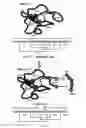 Fig. 02 - Proteolically resistant cyclotides with angiotensin 1-7 like activity