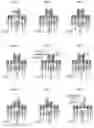 Fig. 02 - CHIMERIC T CELL ANTIGEN RECEPTORS AND METHODS OF USE THEREOF