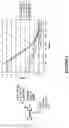 Fig. 09 - Diagnostic, prognostic, therapeutic and screening protocols