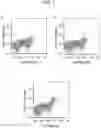 Fig. 06 - Ciliary neurotrophic factor receptor ligand-binding agents and methods of using the same