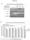 Fig. 22 - Ciliary neurotrophic factor receptor ligand-binding agents and methods of using the same