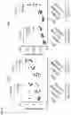 Fig. 09 - Nucleic acids comprising polynucleotides encoding chimeric antigen receptors