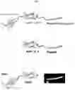 Fig. 02 - Polypeptides targeting HIV fusion