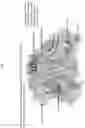 Fig. 24 - Chimeric antigen receptor effector cell switches with humanized targeting moieties and/or optimized chimeric antigen receptor interacting domains and uses thereof