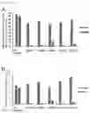 Fig. 07 - Anti-GPC3 antibody