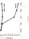 Fig. 24 - Anti-factor D antibodies and uses thereof