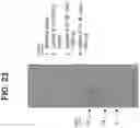 Fig. 20 - IL-31 dog pruritus model