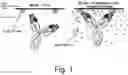 Fig. 02 - Target tissue-specific antigen-binding molecule