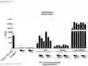 Fig. 10 - Interferon alpha and omega antibody antagonists