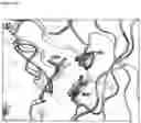 Fig. 27 - Interferon alpha and omega antibody antagonists