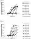 Fig. 09 - Multi-specific binding proteins that bind NKG2D, CD16, and a tumor-associated antigen for activation of natural killer cells and therapeutic uses thereof to treat cancer