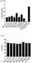 Fig. 16 - Multi-specific binding proteins that bind NKG2D, CD16, and a tumor-associated antigen for activation of natural killer cells and therapeutic uses thereof to treat cancer