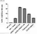 Fig. 28 - Multi-specific binding proteins that bind NKG2D, CD16, and a tumor-associated antigen for activation of natural killer cells and therapeutic uses thereof to treat cancer