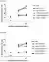 Fig. 33 - Multi-specific binding proteins that bind NKG2D, CD16, and a tumor-associated antigen for activation of natural killer cells and therapeutic uses thereof to treat cancer