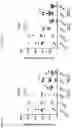 Fig. 44 - Multi-specific binding proteins that bind NKG2D, CD16, and a tumor-associated antigen for activation of natural killer cells and therapeutic uses thereof to treat cancer