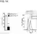 Fig. 06 - Compositions and methods for treating and preventing inflammation