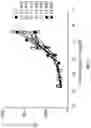 Fig. 22 - Antigen binding proteins that bind c-Met