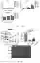 Fig. 08 - BCMA-targeting antibody and use thereof