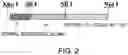 Fig. 03 - ANTIBODY SUBSTITUTING FOR FUNCTION OF BLOOD COAGULATION FACTOR VIII