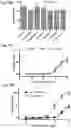 Fig. 16 - Bispecific HER2 and CD3 binding molecules