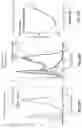 Fig. 30 - Bispecific HER2 and CD3 binding molecules