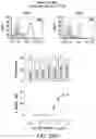 Fig. 37 - Bispecific HER2 and CD3 binding molecules