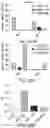 Fig. 49 - Bispecific HER2 and CD3 binding molecules