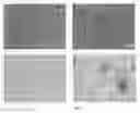 Fig. 05 - TEXTURED POLYMER COMPOSITIONS
